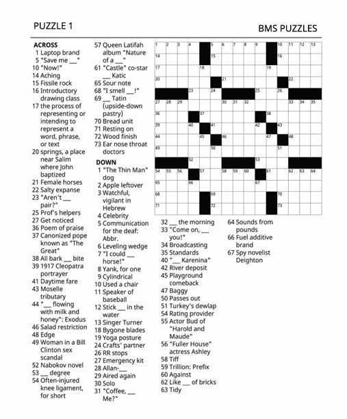 CROSSWORD PUZZLE BOOK, BMS PUZZLES