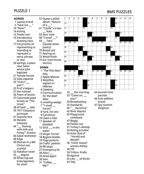 CROSSWORD PUZZLE BOOK, BMS PUZZLES