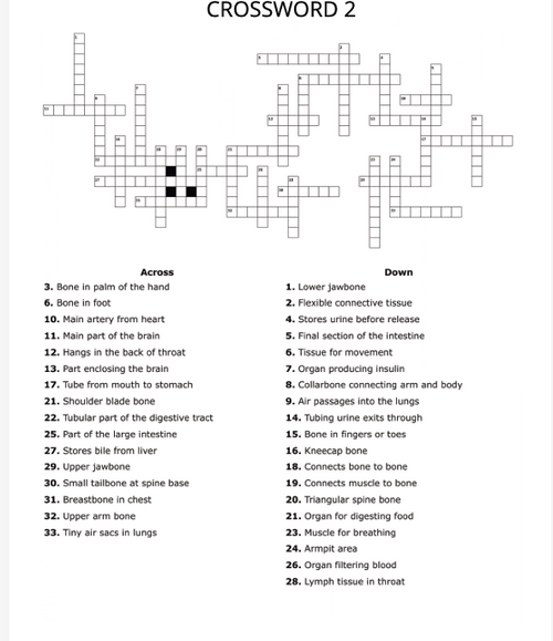 ULTIMATE VARIETY BOOK, BMS PUZZLES