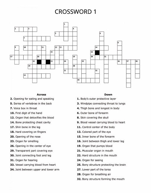 ULTIMATE VARIETY PUZZLE BOOK TRAVEL EDITION, BMS PUZZLES