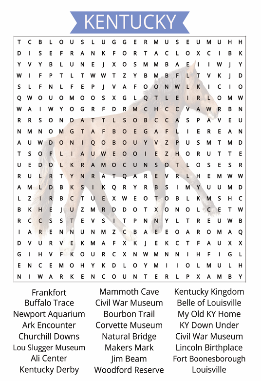 US STATES WORD SEARCH BOOK