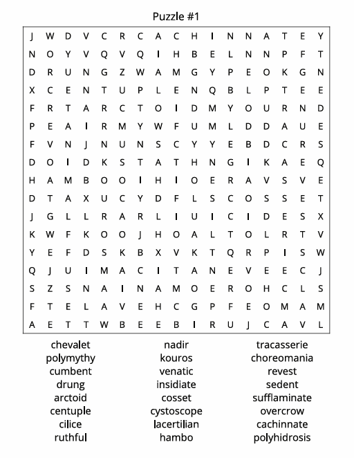 THE ADVANCED WORD SEARCH CHALLENGE