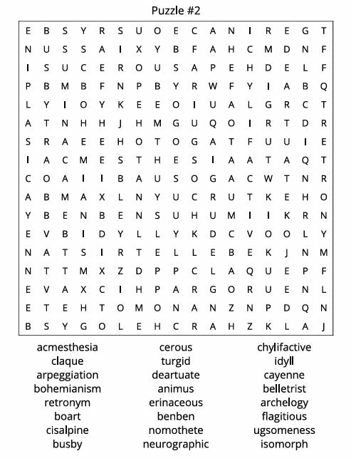 ARE YOU SURE THAT'S A WORD, Word Search Book