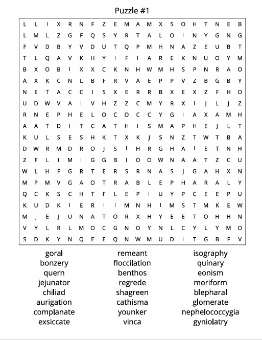 THE EXTREME WORD SEARCH CHALLENGE