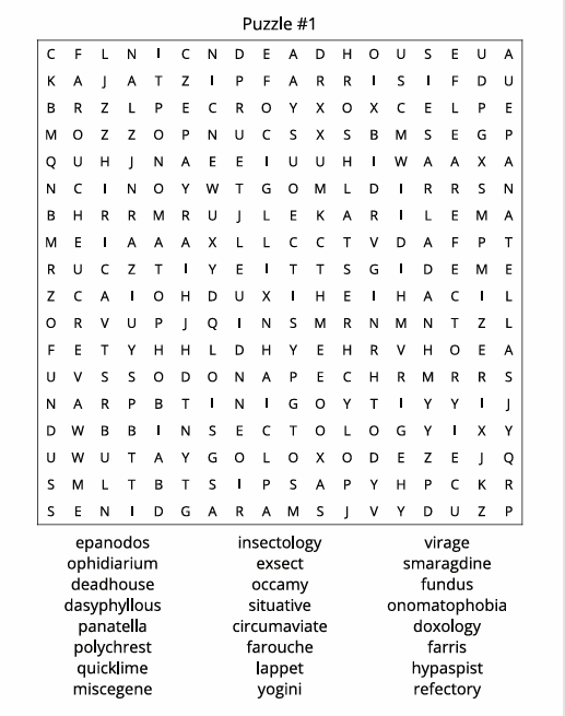 THE NEXT LEVEL WORD SEARCH CHALLENGE