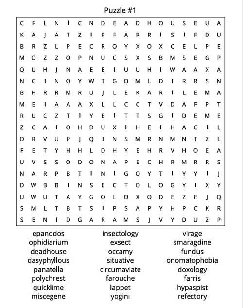 THE NEXT LEVEL WORD SEARCH CHALLENGE