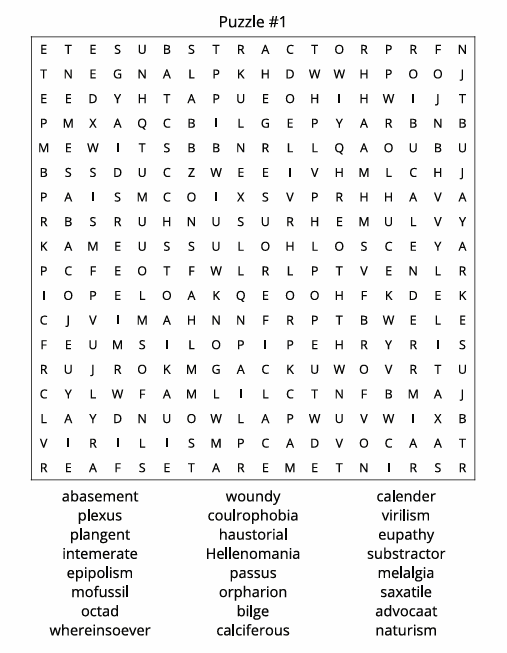 THE ULTIMATE WORD SEARCH CHALLENGE