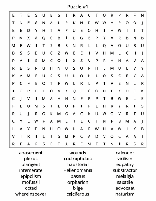 THE ULTIMATE WORD SEARCH CHALLENGE