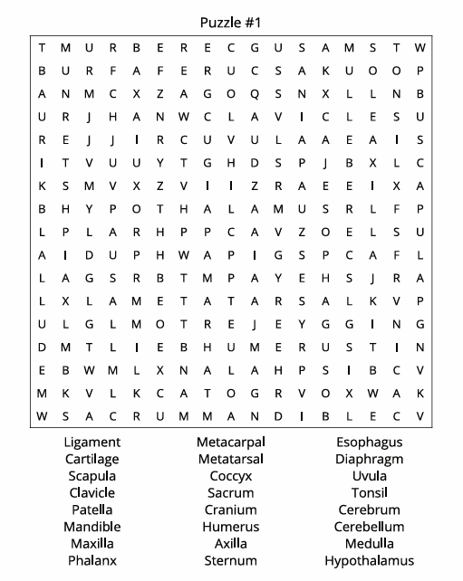 VARIETY PUZZLE BOOK 3